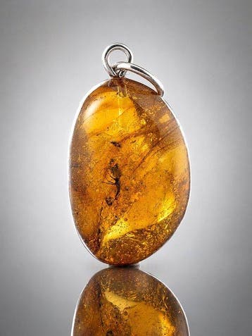 Premium Baltisch Amber Hanger – Eoceen-mug-inclusie in rijk
