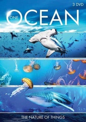 One Ocean (3dvd) op DVD, Verzenden