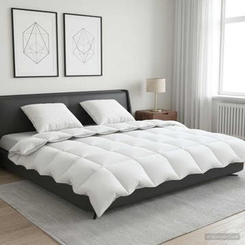 vidaXL 90% Ganzendons Deken Set FULDA 3 st 220 x 260 cm, Verzenden