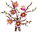 Lego Set - 11510 - Botanical Collection - magnolia