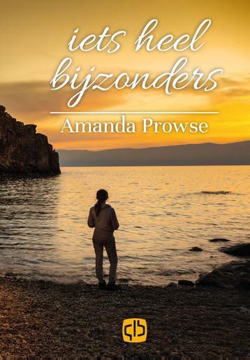 Iets heel bijzonders / Grote letter bibliotheek / 3262, Verzenden, Amanda Prowse
