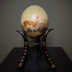 Struisvogel Ei Taxidermie Opgezette Dieren By Max, Ophalen of Verzenden, Nieuw, Wild dier, Opgezet dier
