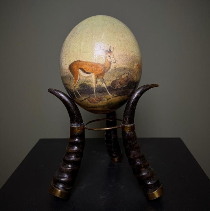 Struisvogel Ei Taxidermie Opgezette Dieren By Max, Collections, Collections Animaux, Enlèvement ou Envoi