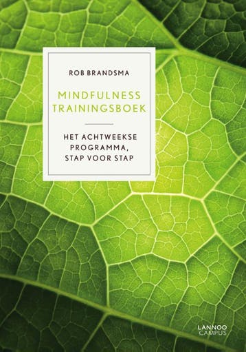 Mindfulness trainingsboek 9789401406284 Rob Brandsma, Verzenden, Rob Brandsma