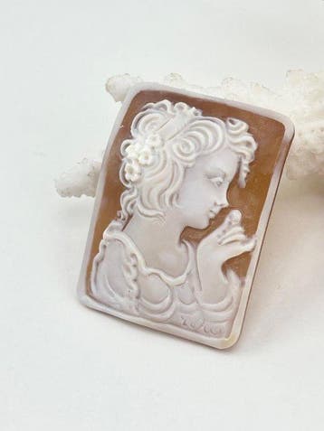 Zonder reserveprijs Cassis madagascariensis - Cameo -