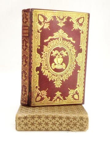 Collectif - Almanach Les amusement de Paris - 1900