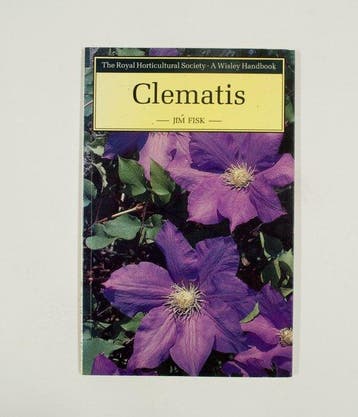 Clematis - Fisk, Verzenden