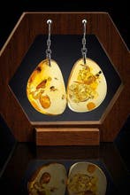 Ambre - Genuine Baltic Amber Earrings – Golden Transparency, Nieuw