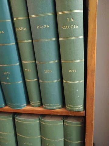 AA. VV. - Diana venatoria rivista quindicinale illustrata 31