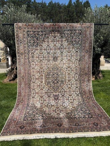 Tapis Indo-Bijar - Tapis - 315 cm - 195 cm