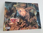 Lord of the Rings - Sylvester Mccoy (Radagast) - Autograph,, Verzamelen, Nieuw
