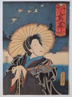 Een complete lijst van vogelafbeeldingen - ganzen — Seigen -