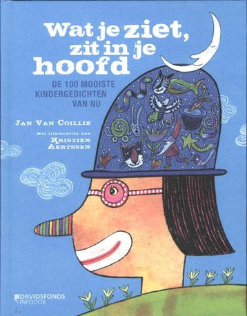 Wat je ziet, zit in je hoofd 9789059084254 Jan van Collie, Verzenden, Zo goed als nieuw, Jan van Collie