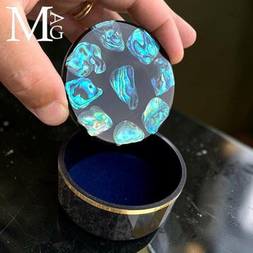 Paua-schelpen - abalone - intaglio Paua-schelpenparelmoer -
