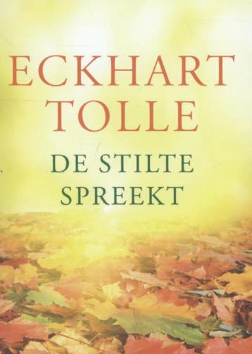 De stilte spreekt 9789020209099 Eckhart Tolle, Boeken, Verzenden, Zo goed als nieuw, Eckhart Tolle