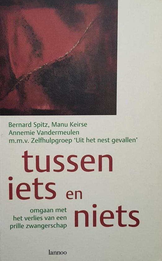 Tussen iets en niets - Bernard Spitz - 9789020934441 - Paper, Livres, Livres d'étude & Cours, Envoi