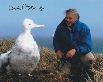 TV and Documentary Legend - Signed by Sir David Attenborough