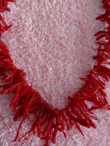 Bloedkoraal Koraal - Corallium rubrum