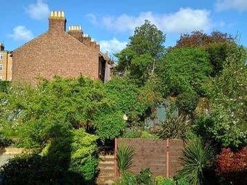 Maria Luisa Azzini - The back garden in Forest Hill, London