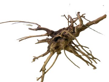 Driftwood Selected DW28 - 40x30x15cm (Small drift wood), Ophalen of Verzenden, Nieuw, Plant(en), Steen of Hout