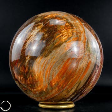Natuurlijk versteend hout als bol – Intense houtnering in