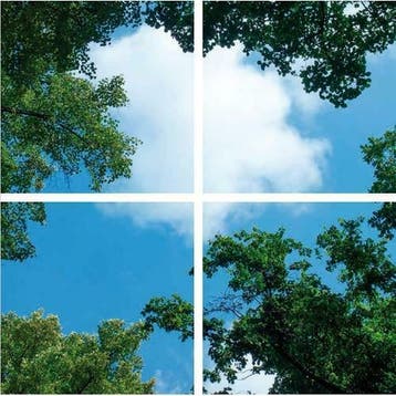 Wolk-bos plafond Fotoprint verdeeld over 4 panelen 60x60cm, Verzenden, Nieuw