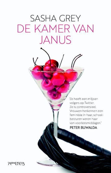 De kamer van Janus 9789044632781 Sasha Grey, Verzenden, Sasha Grey