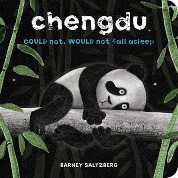 Chengdu Could Not, Would Not, Fall Asleep 9781484775653, Verzenden, Gelezen, Barney saltzberg