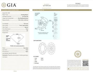 1 pcs Diamant (Natuurlijk gekleurd) - 1.09 ct - Ovaal -, Bijoux, Sacs & Beauté, Pierres précieuses