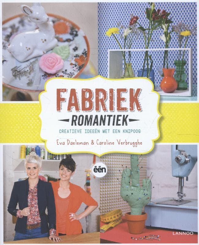 Fabriek Romantiek 9789401405195 Koen Vanderweyden, Livres, Loisirs & Temps libre, Envoi