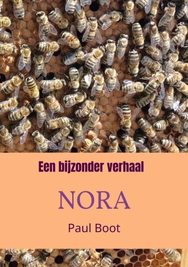 Een bijzonder verhaal Nora 9789465315270 Paul Boot, Boeken, Schoolboeken, Zo goed als nieuw, Verzenden