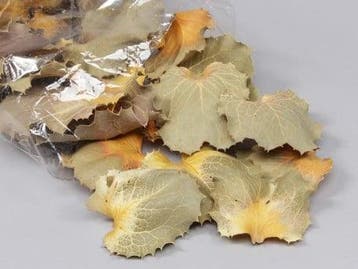 Hakaea Victoria bladeren Naturel groot pak 150 gram, Nieuw