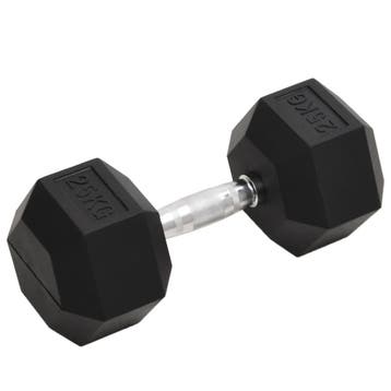 vidaXL Halters 25 kg gietijzer, Sport en Fitness, Verzenden, Nieuw