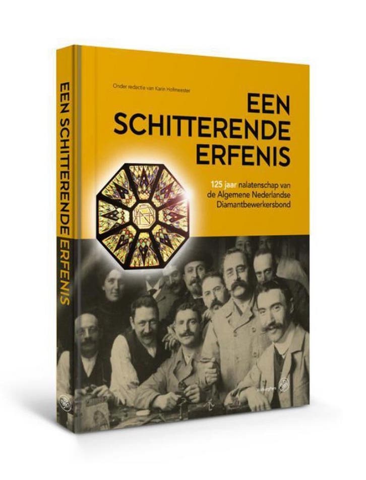 Een schitterende erfenis 9789462492912 Karin Hofmeester, Boeken, Geschiedenis | Wereld, Zo goed als nieuw, Verzenden