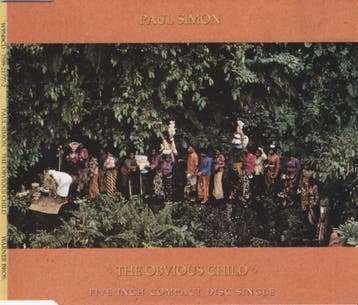 Paul Simon - The Obvious Child, Verzenden, Gebruikt