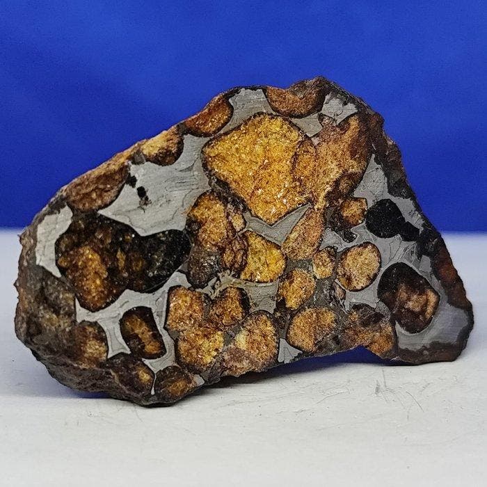 -endcut- PALLASITE meteoriet. SERICHO (Kenya, 2016), Verzamelen, Mineralen en Fossielen