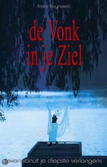 De vonk in je ziel 9789055991396 K. Bruynseels, Verzenden, Zo goed als nieuw, K. Bruynseels