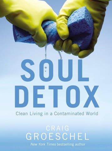 Soul Detox 9780310333821 Craig Groeschel, Verzenden, Zo goed als nieuw, Craig Groeschel