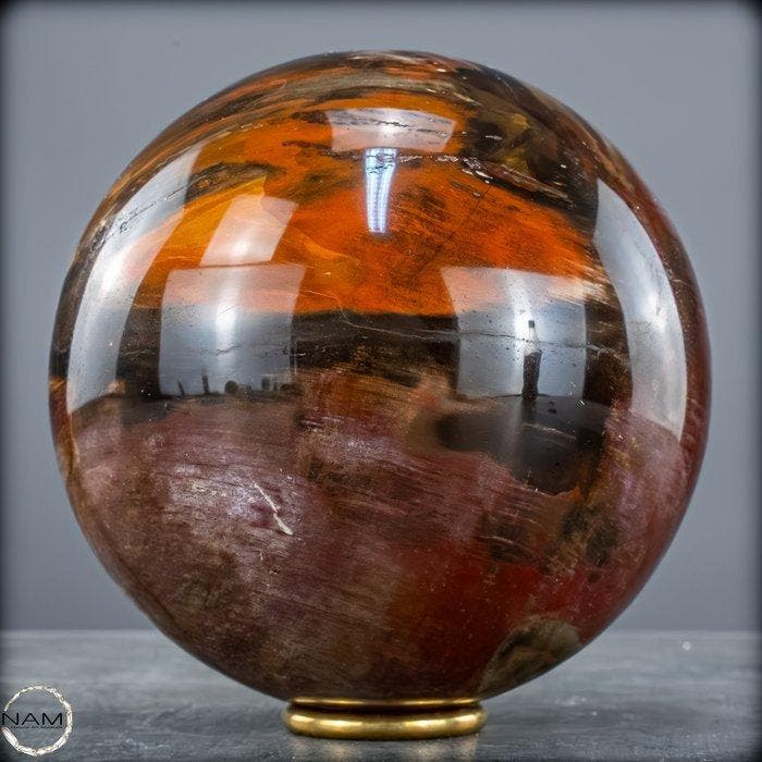 Natuurlijk versteend hout als bol – Intense houtnering in, Verzamelen, Mineralen en Fossielen