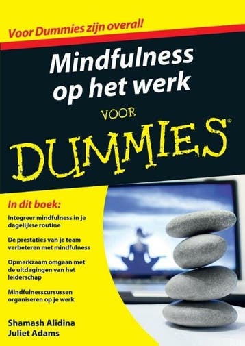 Mindfulness op het werk voor dummies (9789045350042), Boeken, Verzenden, Nieuw
