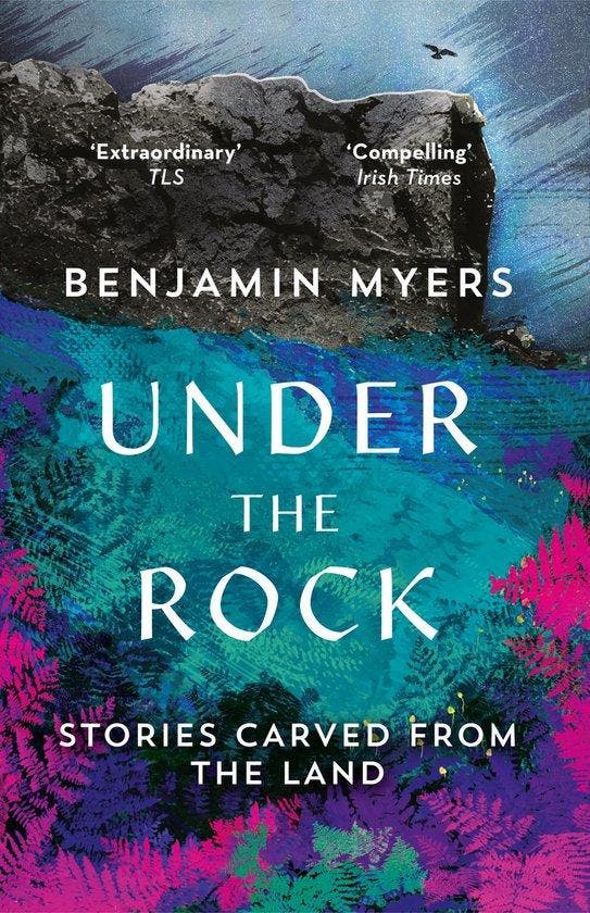 Under the Rock 9781783964369 Benjamin Myers, Boeken, Taal | Engels, Zo goed als nieuw, Verzenden