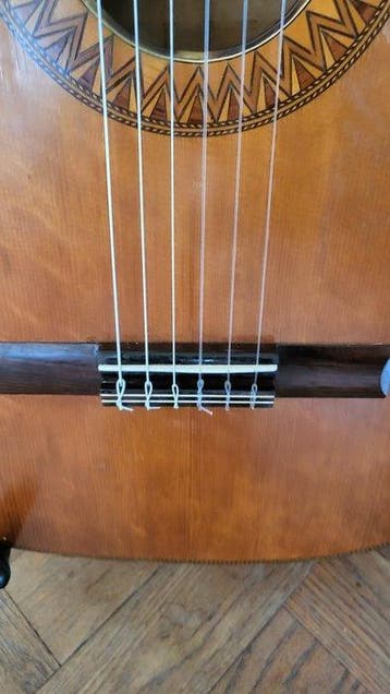 Maestro - - Guitare classique - France - 1950 (Sans prix de