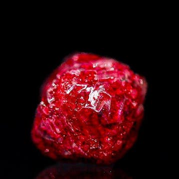 Levendig bloedrood diamant • GEEN MINIMUMPRIJS • Zeldzame