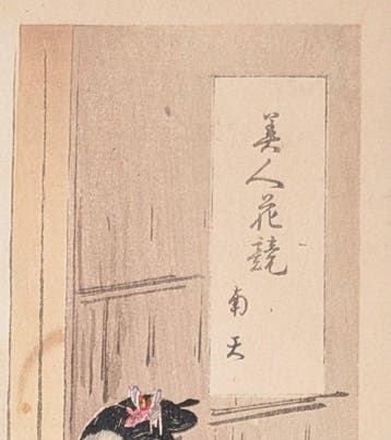 Ogata Gekk • Nandin • Schoonheden vergeleken met bloemen •
