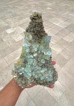 Merveilleux cristaux daquamarine terminés, bouquet sur mica
