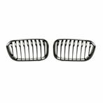 Hoogglans Zwarte Nieren (Grillen) BMW F20/21 LCI B2084