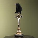 Kraai op Kruis Taxidermie Opgezette Dieren By Max, Ophalen of Verzenden, Opgezet dier