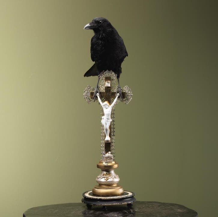 Kraai op Kruis Taxidermie Opgezette Dieren By Max, Verzamelen, Dierenverzamelingen, Opgezet dier, Nieuw, Vogel, Ophalen of Verzenden
