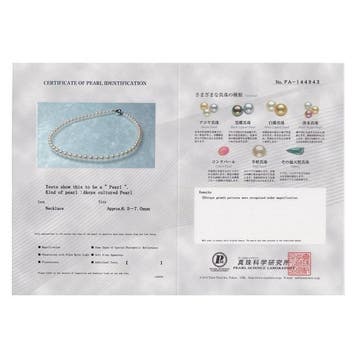Sans prix de réserve - Collier Argent Perle -