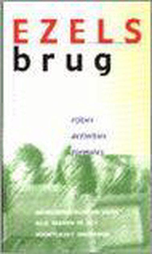 Ezelsbrug 9789066110175 Thilde Luyt, Livres, Littérature, Envoi
